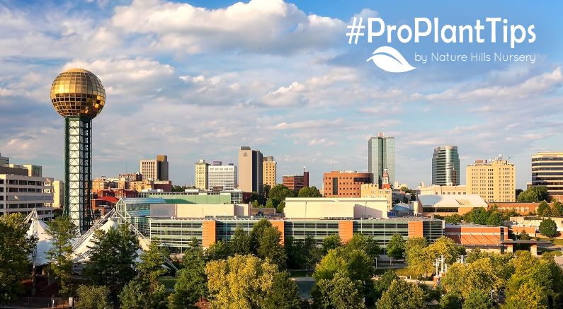 Best Plants & Garden Success Tips For Knoxville, Tennessee! - Nature Hills Nursery