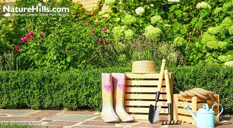 A Plan To Achieve “2021 Garden Ready” Status - Nature Hills Nursery