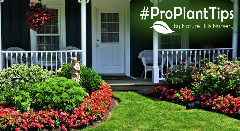 best plants for foundation gardens!