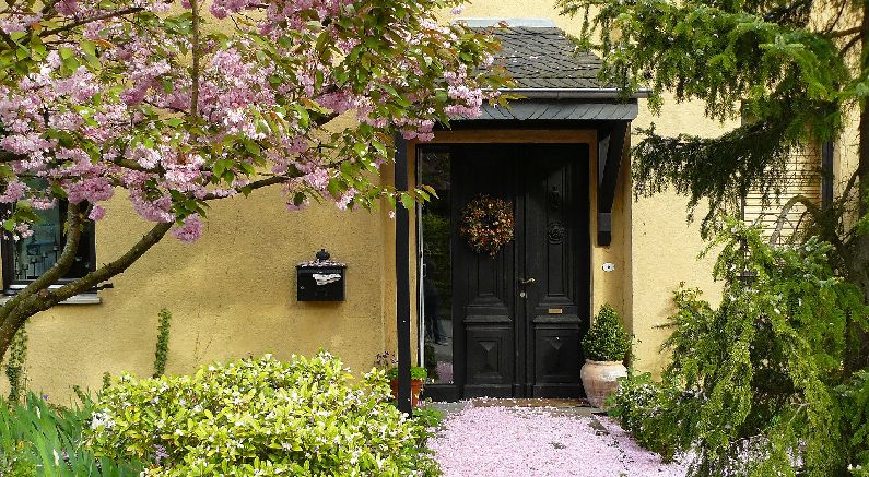 Care Tips for Small Ornamental Trees in Your Landscape - Nature Hills Nursery