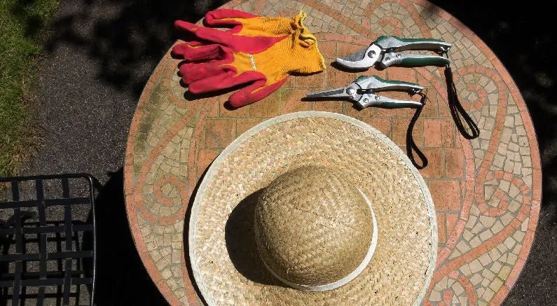 Fall Cleanup to Prepare for Winter Garden Interest - Nature Hills Nursery