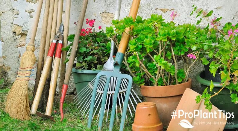 Five Essential Types of Tools for Spring Gardening - Nature Hills Nursery