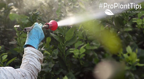Fruit Tree Fertilization - Nature Hills Nursery