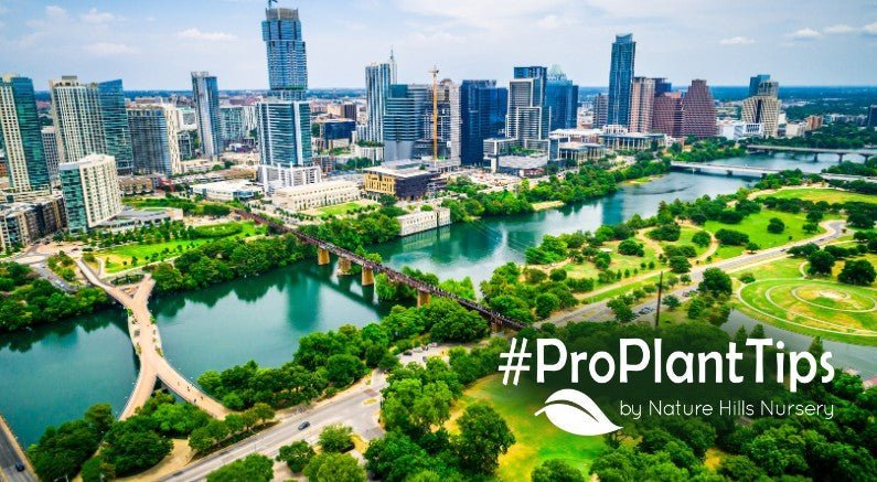 Gardening in Austin: Best Plants for Every Season! - Nature Hills Nursery