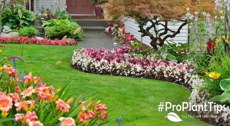 Gardening Trends To Look Forward To In 2024! - Nature Hills Nursery