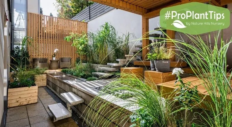 Get 365 Gorgeous Days With Hardy Container Gardens - Nature Hills Nursery