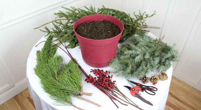 How A Florist Creates Magnificent Winter Containers - Nature Hills Nursery