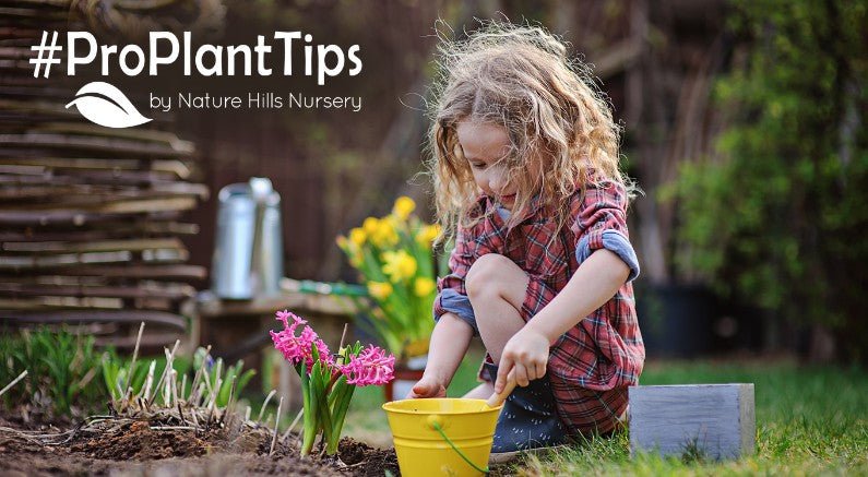It's Plant a Flower Day! Learn Why and How To Celebrate - Nature Hills Nursery