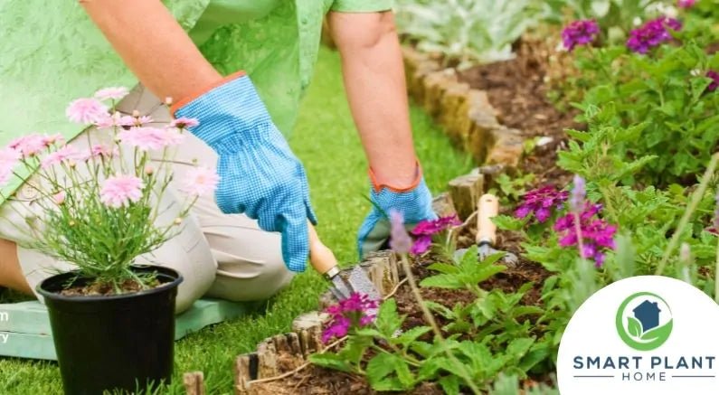 Top 3 Garden Trends To Know For 2022 - Nature Hills Nursery