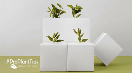 What to Expect When Receiving Plants Shipped In Early Spring - Nature Hills Nursery
