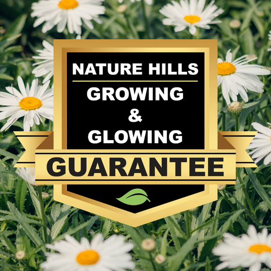 Nature Hills Growing and Glowing Guarantee badge displayed over a field of white daisy flowers in bloom.