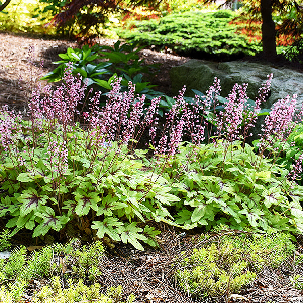 Fun And Games® Eye Spy Foamy Bells