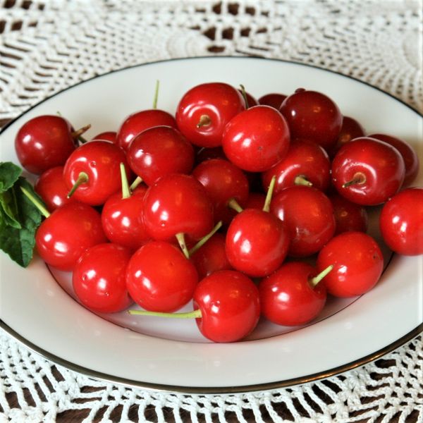 First Editions® Sweet Cherry Pie™ Cherry