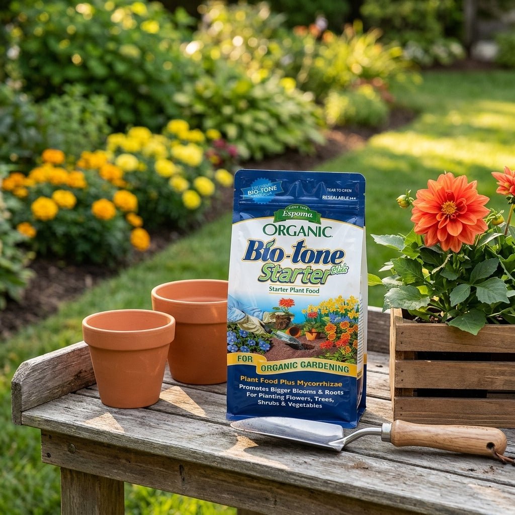 Espoma Bio-tone Starter Plus packet sitting on a potting table next to dahlia flowers in a sun-dappled garden.