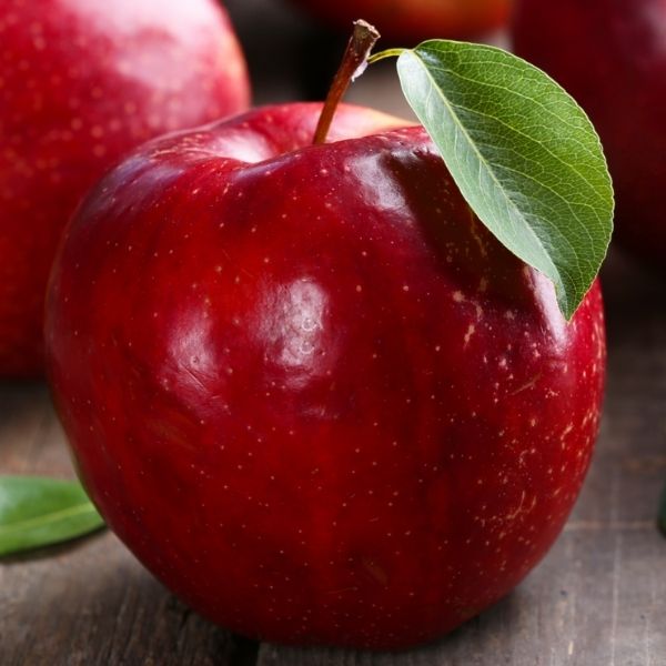 Chrisolyn™ Jonathan Apple Tree