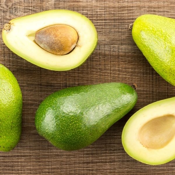 Donnie Avocado Tree - Nature Hills Nursery - #1 Container -