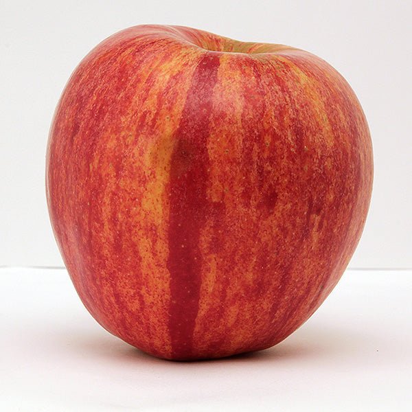 KinderKrisp™ Apple Tree