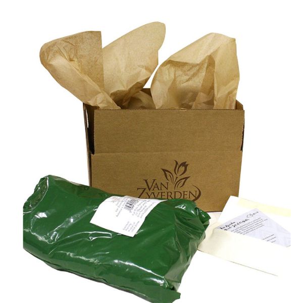 Mystery Day Dahlia Packaging