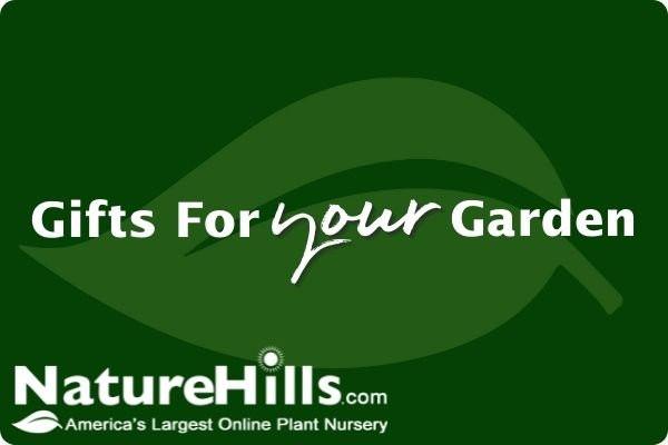 Nature Hills E - Gift Certificate - Nature Hills Nursery - $25.00 -