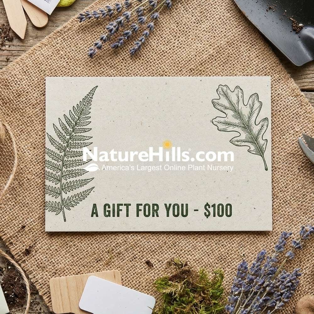 Rustic gardening flat lay featuring a $100 Nature Hills Nursery gift card centered on a burlap cloth.