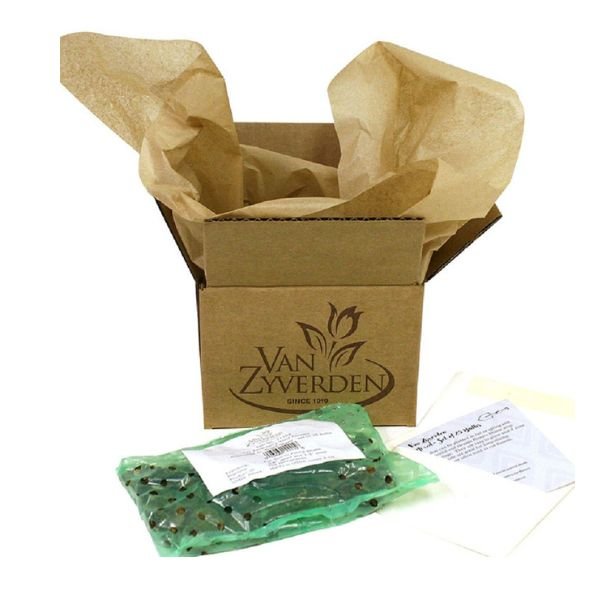 Passion Fruit Calla Lily Packaging