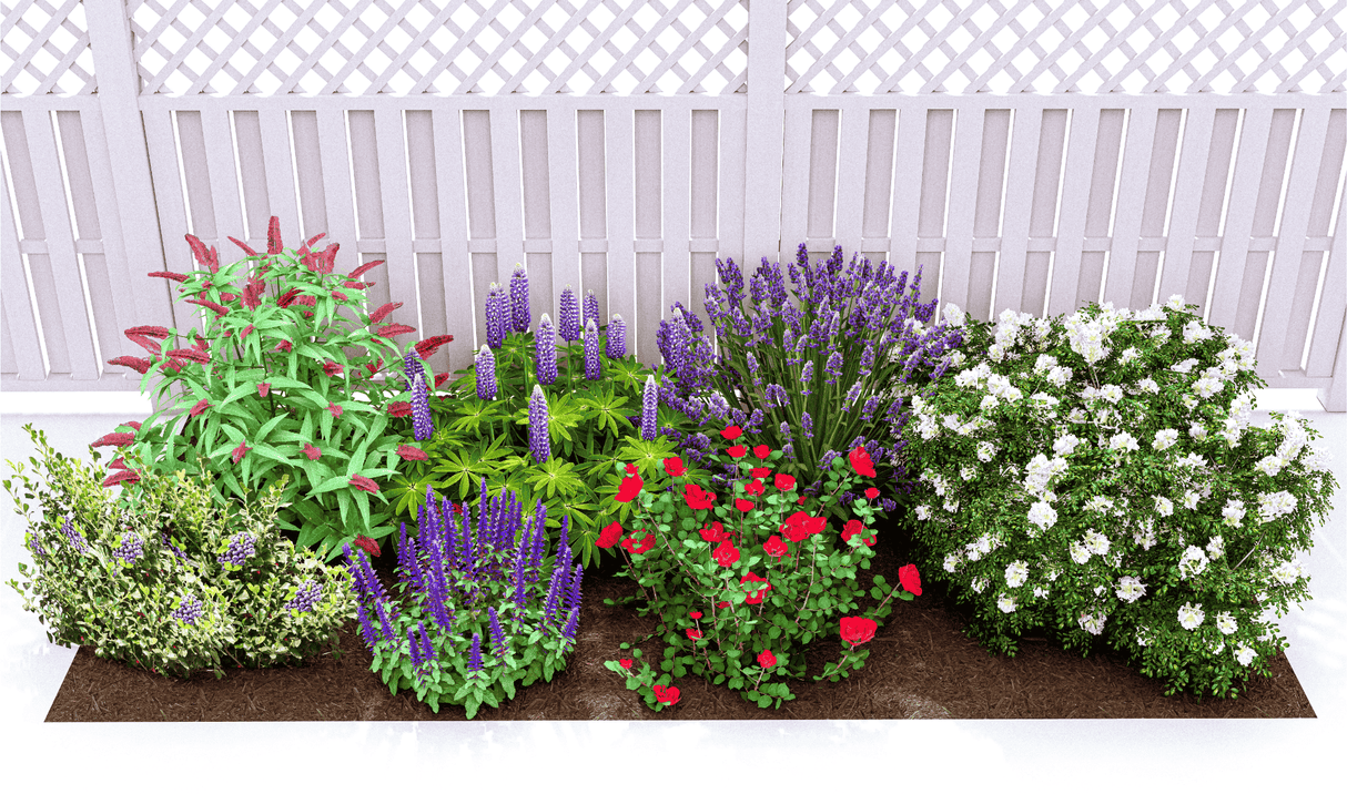 Plants That Work For A Fragrance Garden - Perennial - Nature Hills Nursery - Plant By Numbers - Plant Pack -