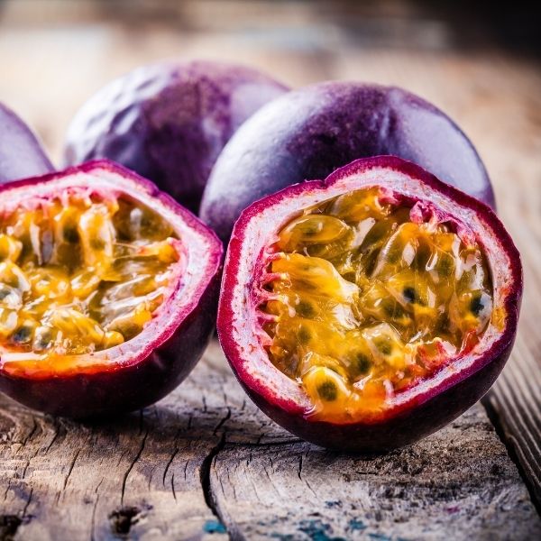 Possum Purple Passion Fruit Vine - Nature Hills Nursery - #1 Container -