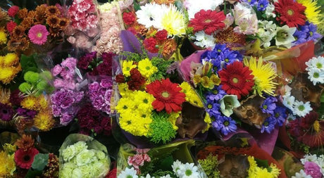 9 Perennials to Use in Cut Flower Arrangements - Nature Hills Nursery