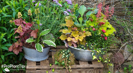 3 Design Ideas for Perennial Planters in Your Landscape