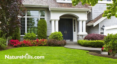 5 Fantastic Shrubs for the Front Yard (and How to Find More) - Nature Hills Nursery