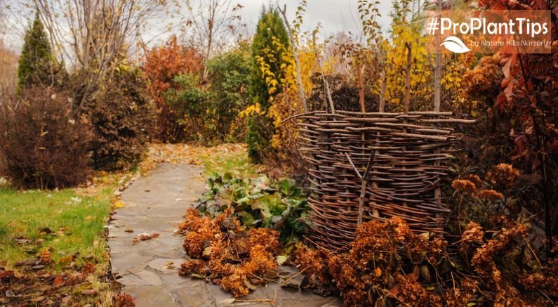 7 Ways to Get Your Garden Ready for Winter - Nature Hills Nursery