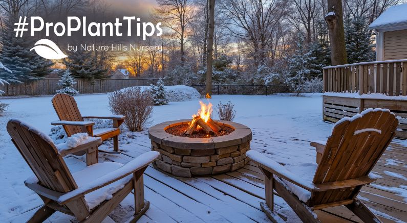 create a cozy backyard nook