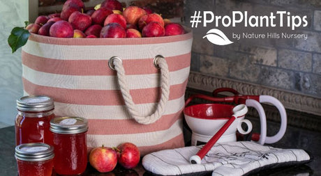 best crabapples for jam and juice