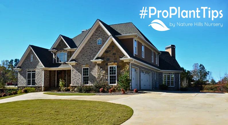 refreshing your landscaping and ditching the dated look!