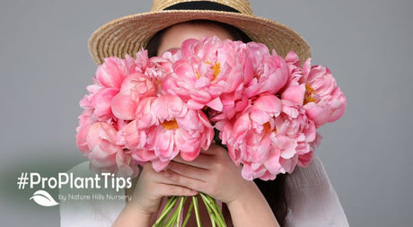 the connection of fragrance and memory for lasting living christmas gifts