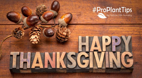 Happy Thanksgiving! Find Plants We're Thankful For!