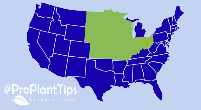 shop natives for the upper midwest