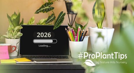 Set your garden goals for 2026 with Nature Hills