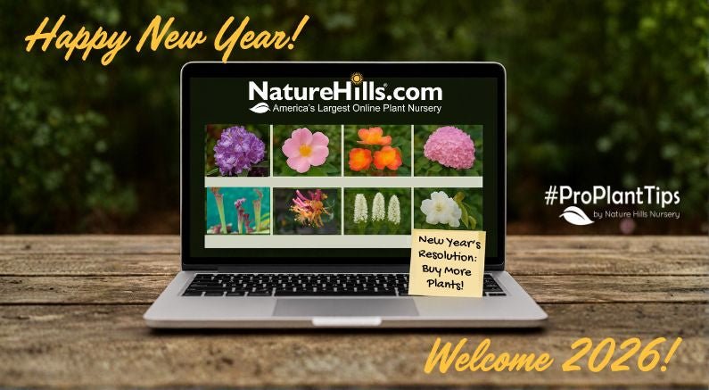 Top 10 New Plants to Resolve to Grow This New Year