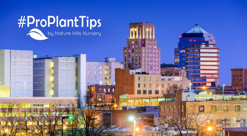 gardening success in Durham North Carolina