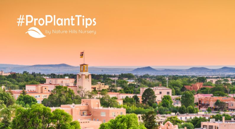 Plants best for hot and dry Santa Fe NM