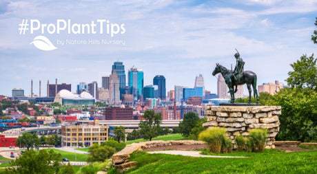 Gardening in Kansas City: Year-Round Planting and Beyond - Nature Hills Nursery