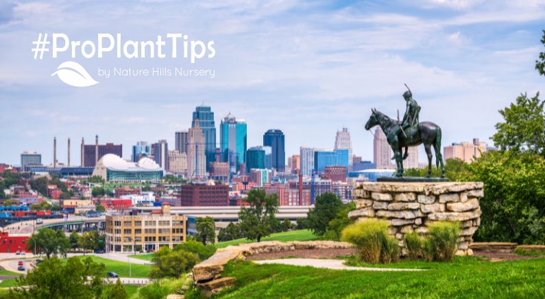 Best plants for Kansas City Missouri!