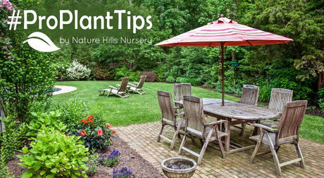 wake up the garden in a weekend!