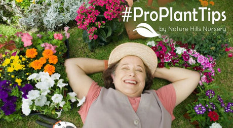 lazy gardening that makes you look like a pro!