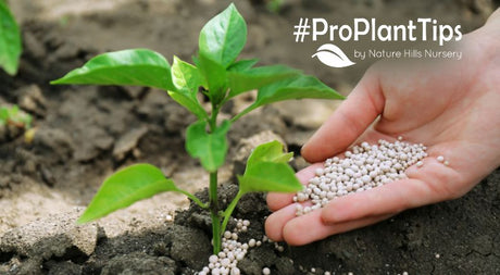 Don't reach for the fertilizer just yet!