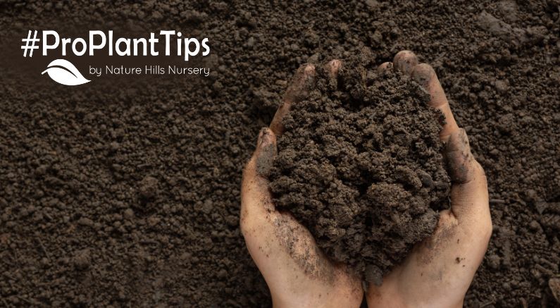 Simple Steps For Sweet Success: Fixing Alkaline Soil - Nature Hills Nursery