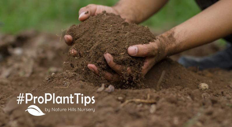 How to deal with or fix acidic soil - at Nature Hills!