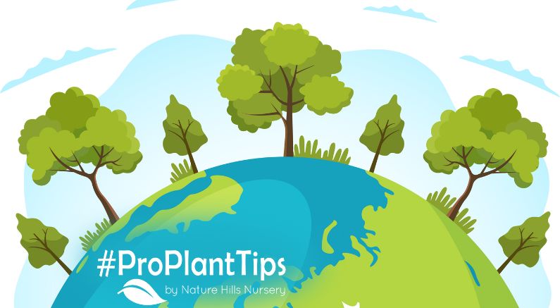 Celebrate Earth Day 2025 Easily and Affordably! - Nature Hills Nursery