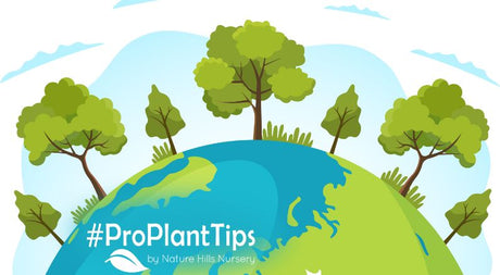Celebrate Earth Day 2025 Easily and Affordably! - Nature Hills Nursery